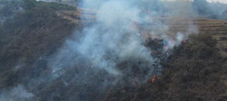 No habrá sanciones por incendios en el sur de Jalisco
