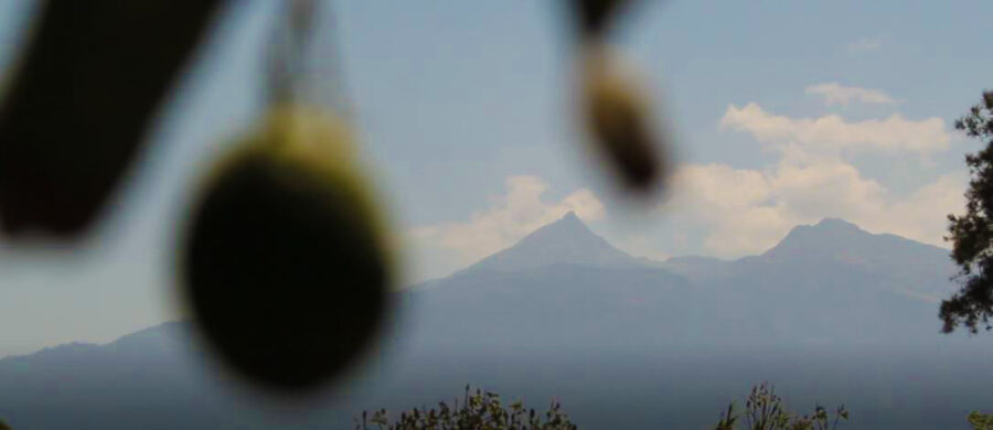 ASÍ SE PRIVATIZA EL MANANTIAL DEL NEVADO DE COLIMA