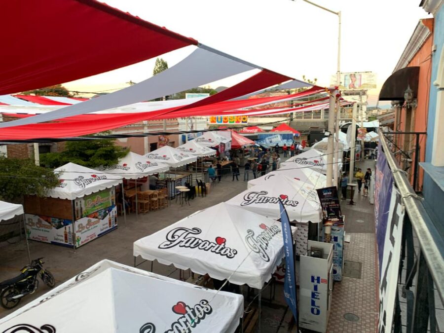 Callejón de la Alegría del Carnaval Autlán 2020 (Foto: Israel Aguilar).