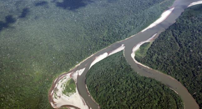 Día Internacional de los Bosques: comunidades, aliadas en su conservación