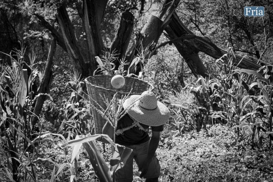 Los campesinos no se pueden “quedar en casa”