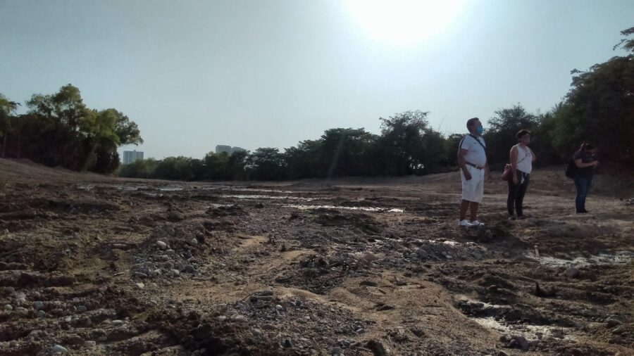 Limpia el municipio de Vallarta el río Pitillal y arrasa con bosque de sauces