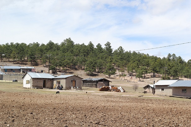 Cuestionan condiciones para “nueva normalidad” en la Sierra, ¿continuará desigual y deshumanizante?