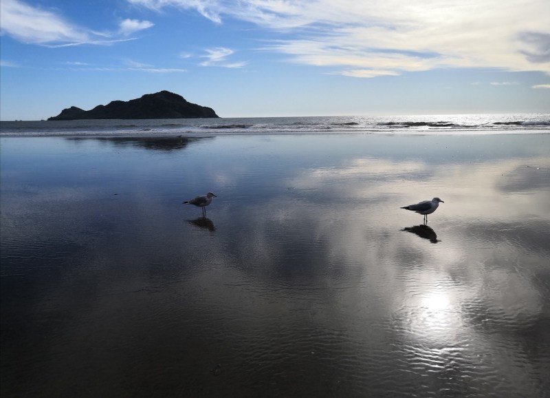 Esto pasó en playas de Mazatlán mientras no estabas