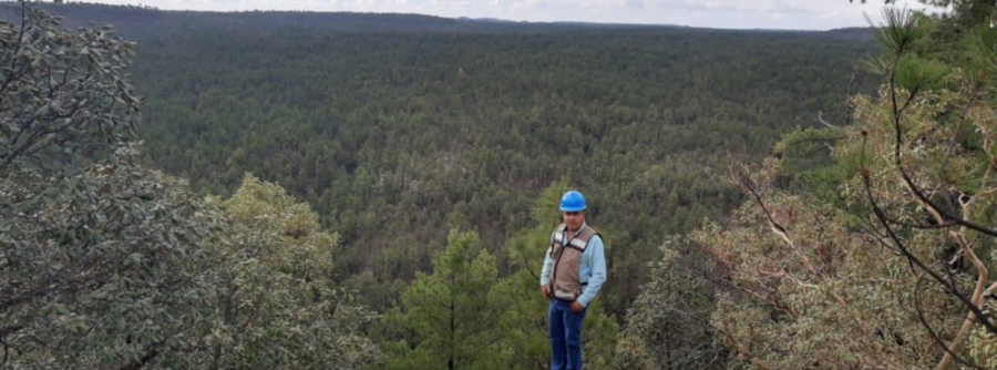 México: la comunidad rarámuri que encargó su bosque a los jóvenes