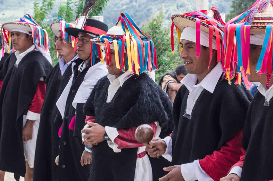Sustos, corajes o brujería; así conciben la causa de diabetes indígenas tsotsiles y tseltales de Chiapas