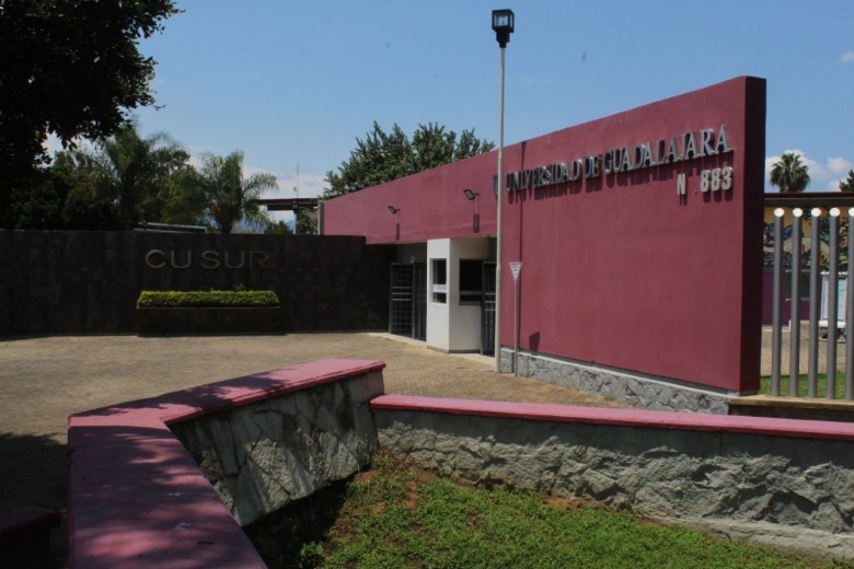 1 de cada 3 aspirantes, logró entrar al CUSur