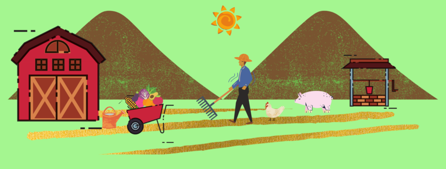 Cultivos ancestrales: la forma de sobrevivir en medio de la pandemia