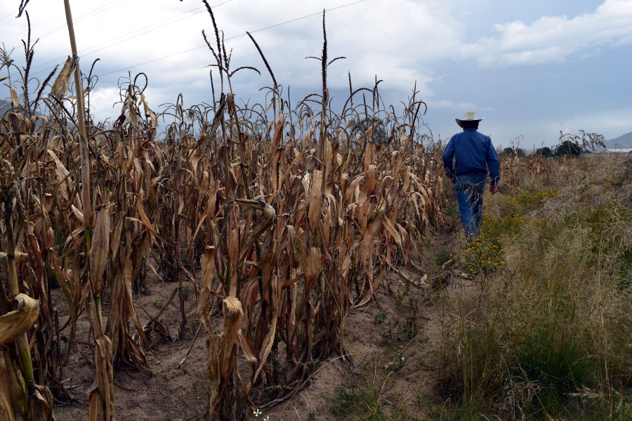 Empresas acaparan el agua afectando a cientos de campesinos en Puebla