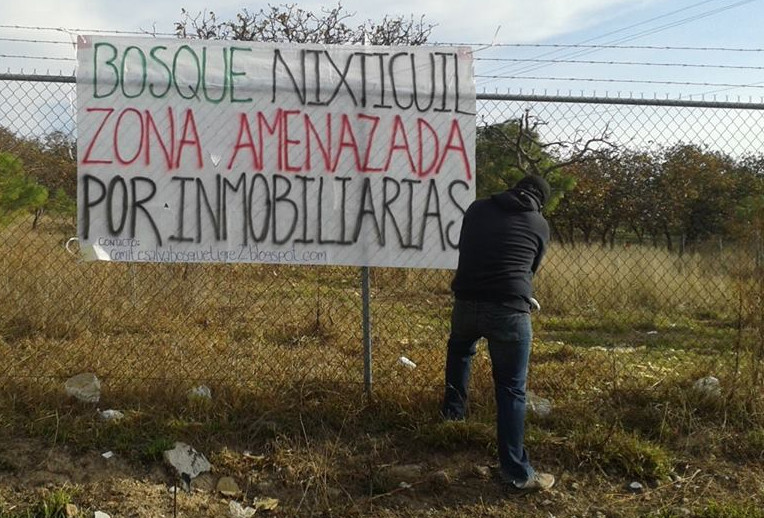 Fraccionamiento El Dosel privilegia 21 familias y afecta bosque Nixticuil