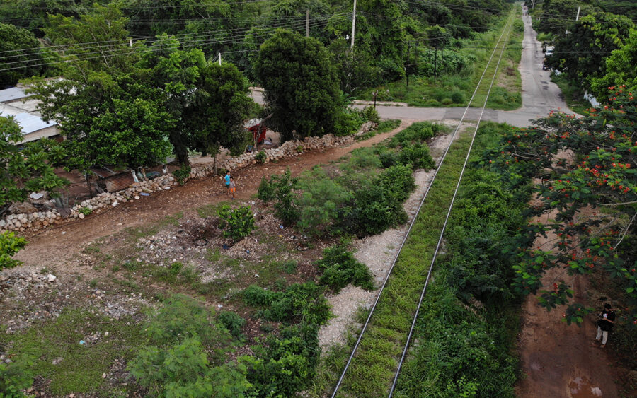 Suspende juez obras del Tren Maya en municipios de Yucatán