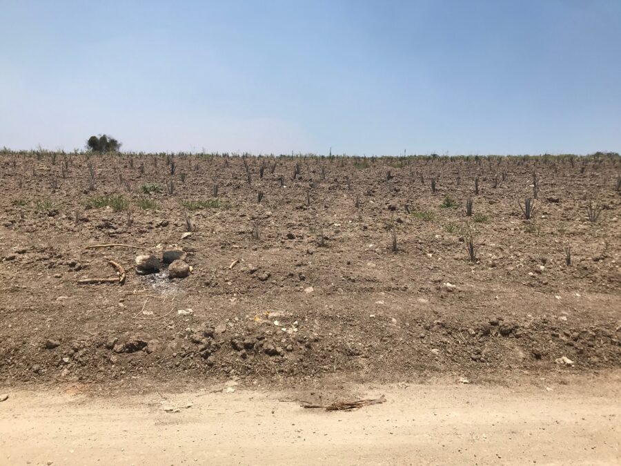 Rescatar el campo del calentamiento como un cambio cultural