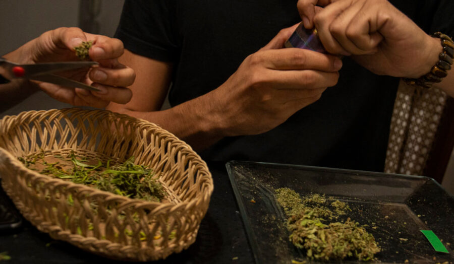 Reglamento del uso medicinal de marihuana es un alivio, pero quedan pendientes