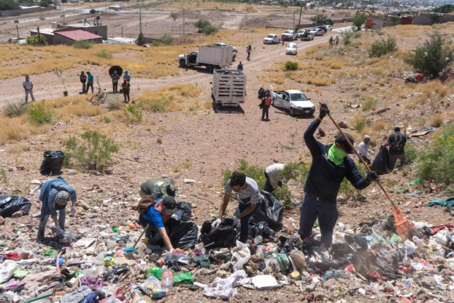 Con reforestación responden a amenazas en colonia del Cerro Coronel