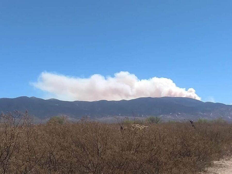 Va una semana de incendio en Wirikuta; voluntarios urgen ayuda