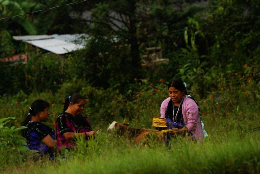 La otra violencia invisible: comuneras sin derecho a la tierra en México