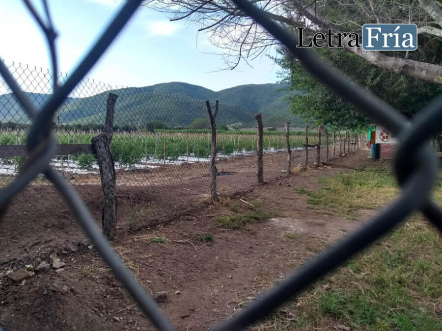 Retoman caso de plaguicidas en El Mentidero; planean crear reglamento agrícola