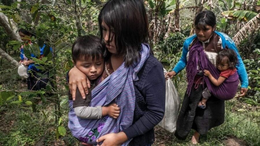 CIDH ordena poner fin a los ataques que viven indígenas en Aldama