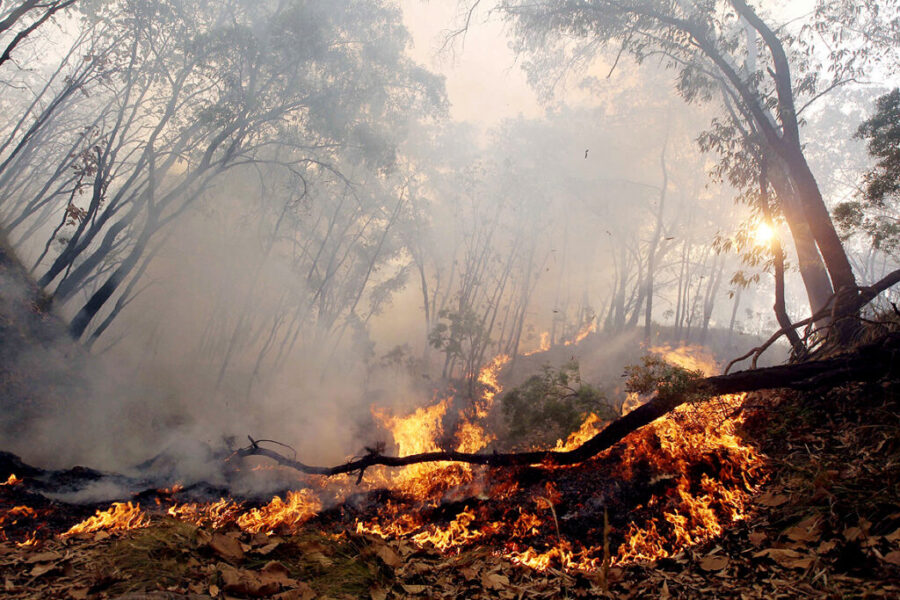 Incendio en la Sierra de Manantlán sigue activo; más de 70 elementos trabajan para sofocar las llamas