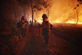 ONG: «Catastróficos» los incendios forestales en México en la última década