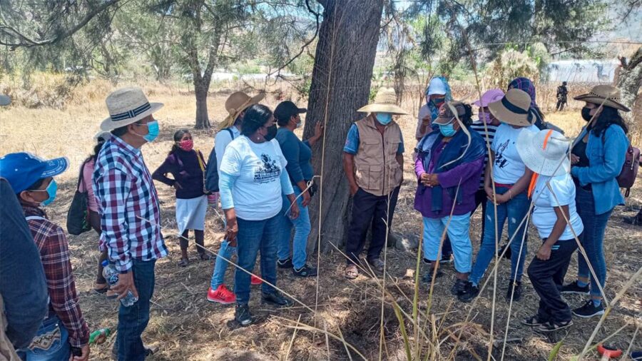 Siempre Vivos halla 10 restos óseos en jornada de búsqueda de desaparecidos en Chilapa
