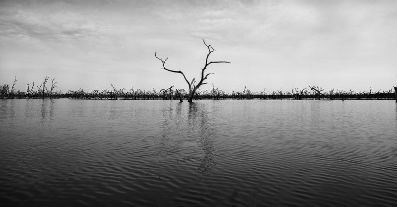 El agua hablará: Todo fluye menos la búsqueda