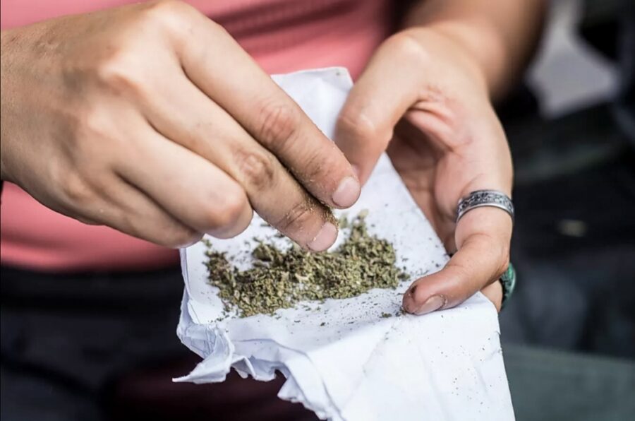 SCJN, a un paso de abonar a la despenalización del cannabis