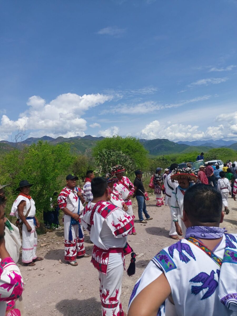 Wixaritari «plantados» por Tribunal Agrario tras 53 años de despojo entre Jalisco y Durango