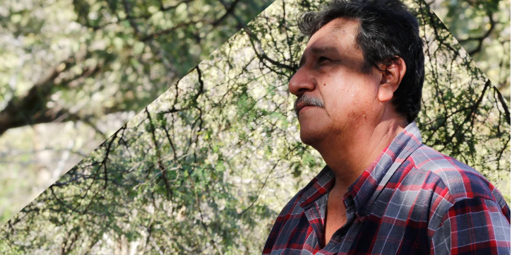 Asesinan al activista Román Rubio López en Sinaloa