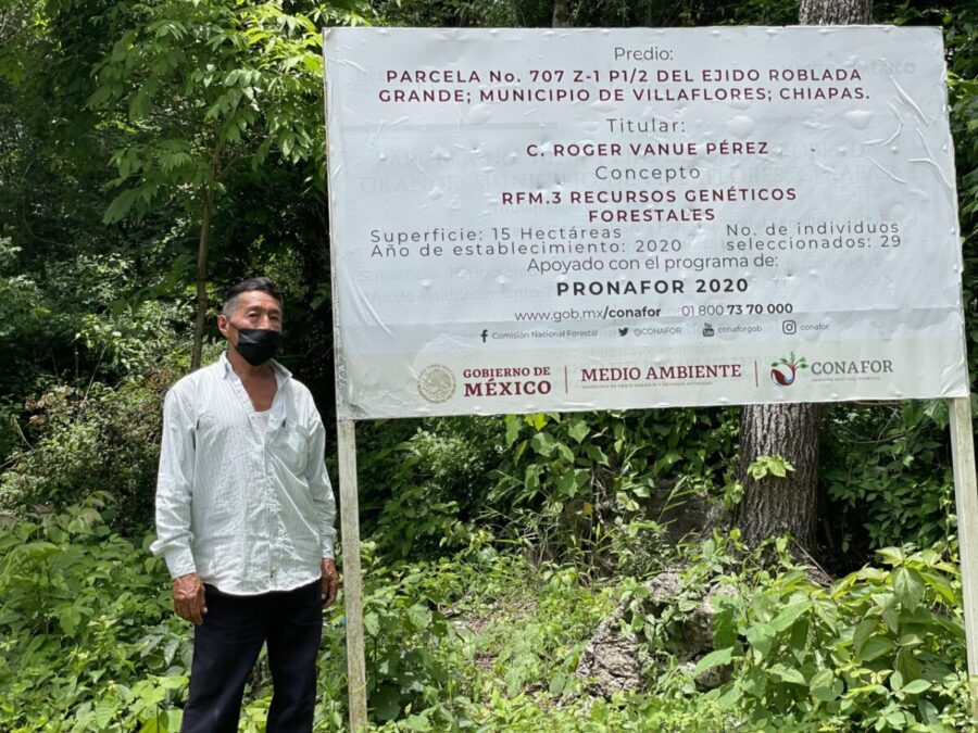 Roger Vanué, el campesino que lucha contra la extracción ilegal de semillas de cedro rojo.