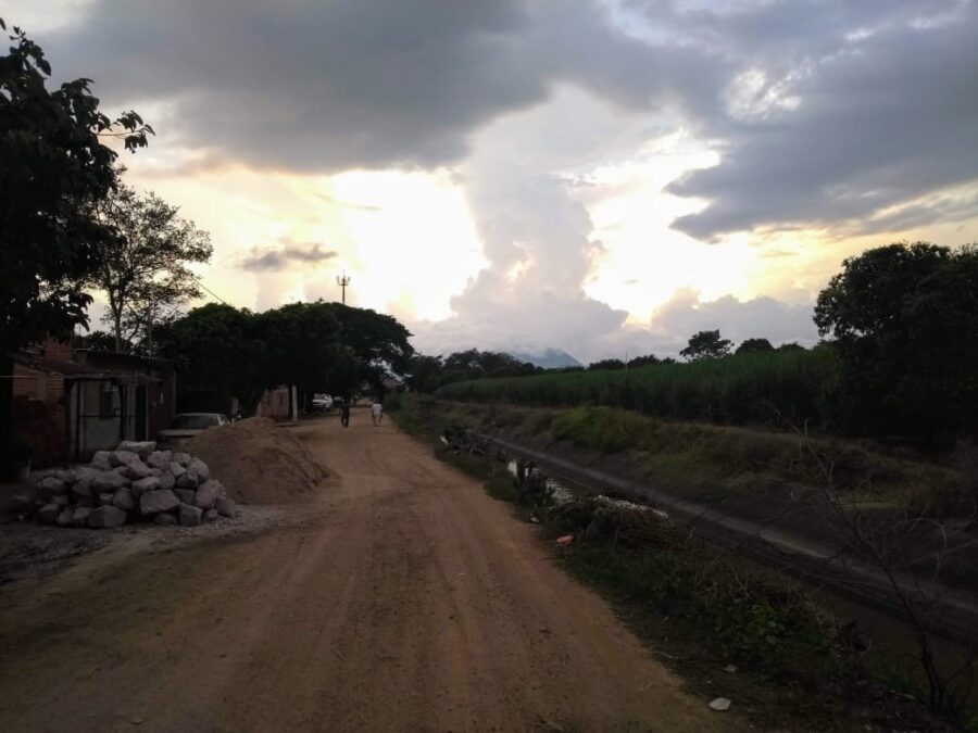 Sembrando esperanza por una infancia sin plaguicidas