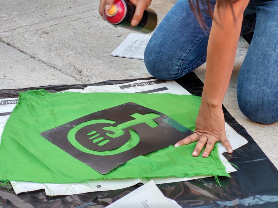 Diputada de Futuro avisa que va por despenalizar el aborto