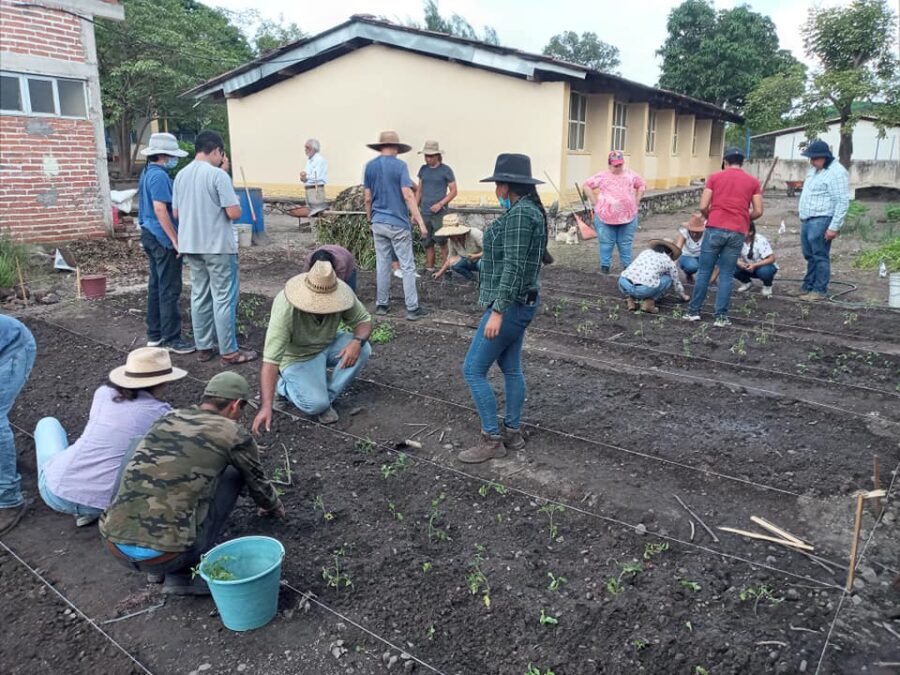 Impartirán taller de agricultura biointensiva en El Mentidero