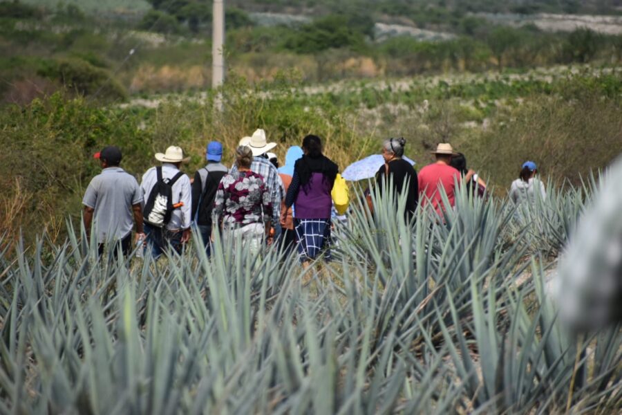 Recupera San Isidro territorio invadido por Amway-Nutrilite; ganaron hace 29 años