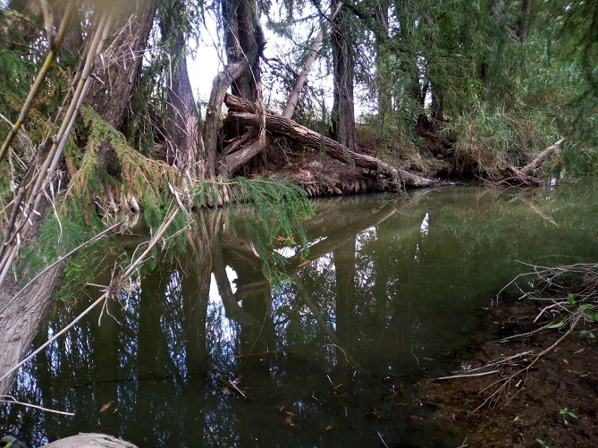 Un Río Verde que se volvió «negro»