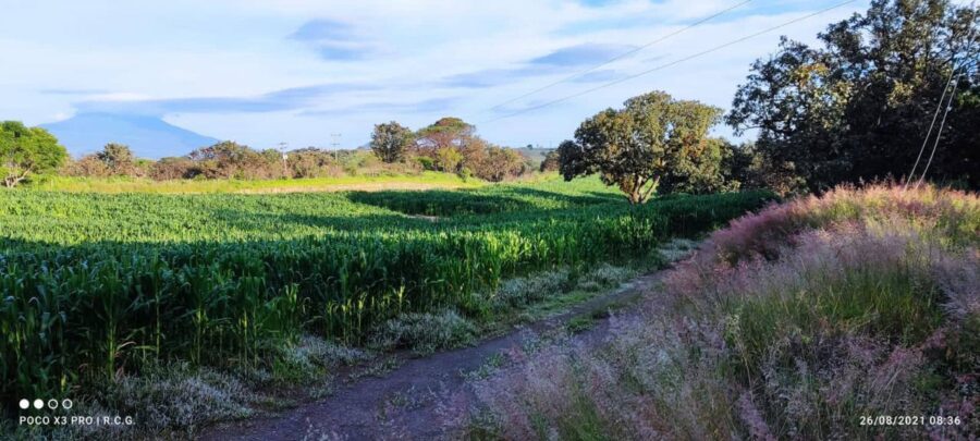 Ejidos vs Área Natural Protegida la Primavera; conflicto llega a Palacio
