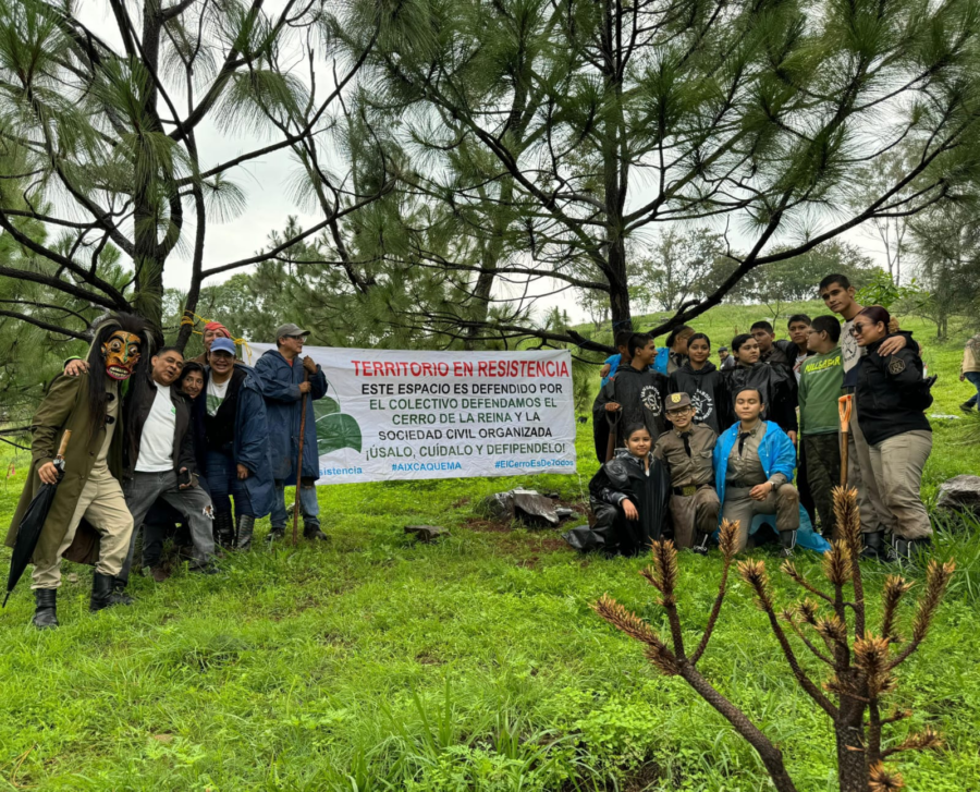 Urgen colectivos por el Cerro de la Reina restauración del Rio Osorio; reforestan
