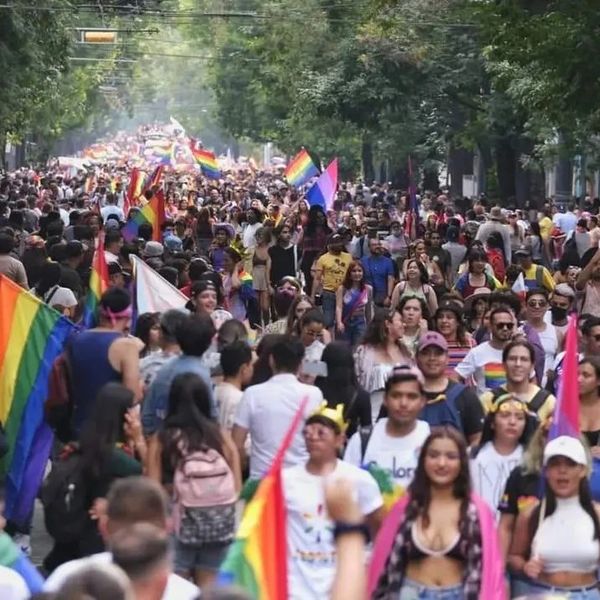 Tesis de Maestría sobre las selfies y comunidades LGBTIQ+