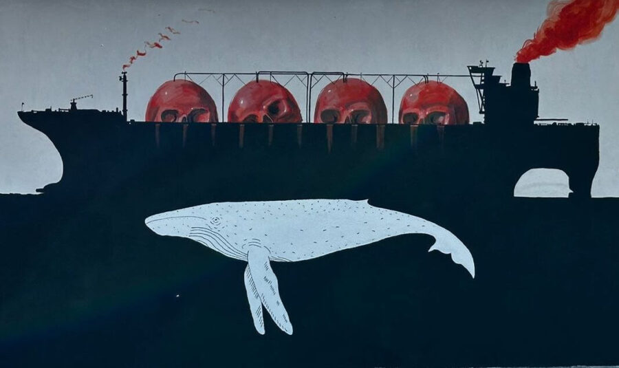 Ballenas o gas: megaproyecto amenaza la biodiversidad del Golfo de California