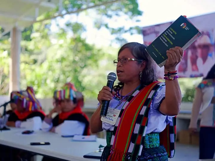 Reencuentro mesoamericano por la defensa del territorio en Chiapas