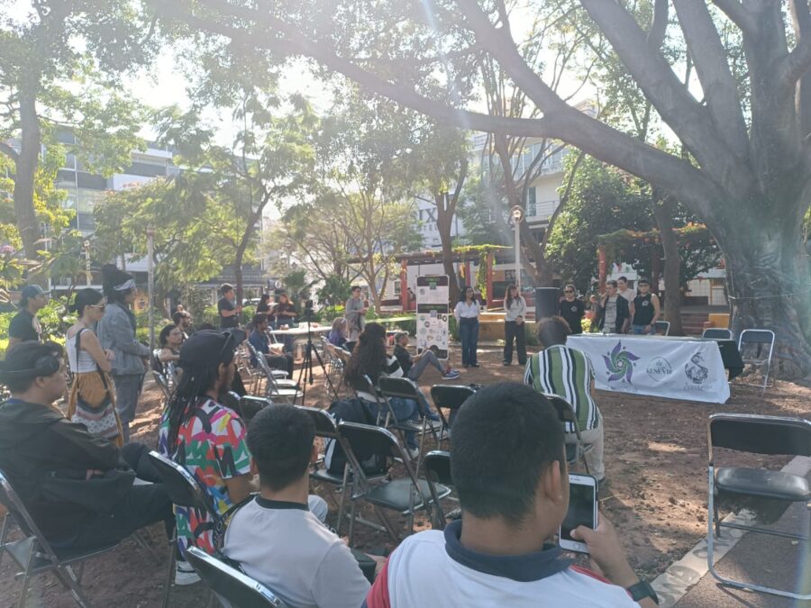 Usar cannabis es un derecho a la salud: CannaSent