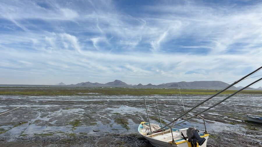 <<Nos preocupa el presupuesto para la pesca>>: líder pesquero en Sinaloa