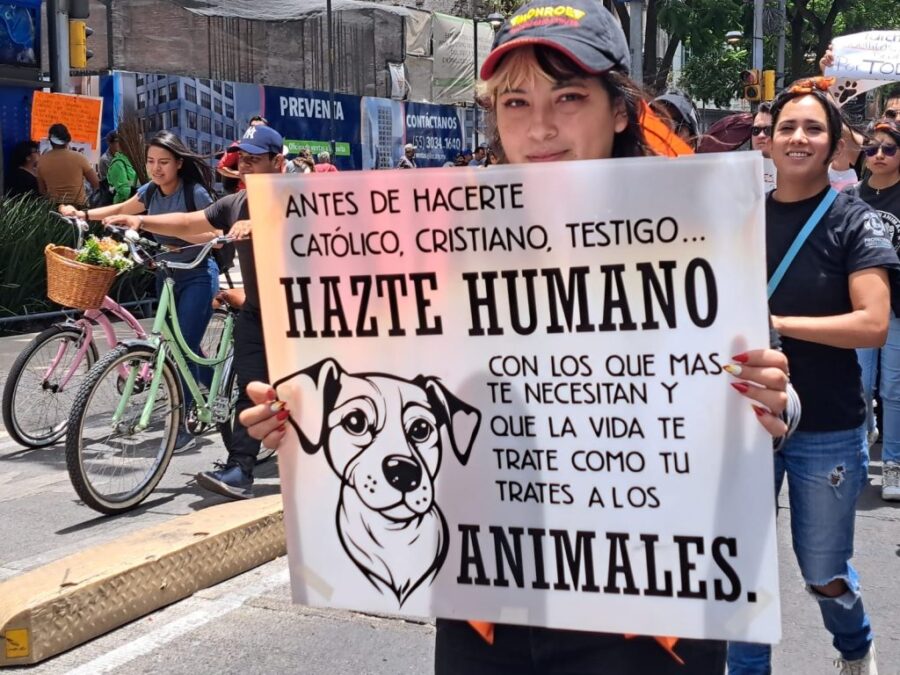 La belleza a costa del sufrimiento o la explotación animal