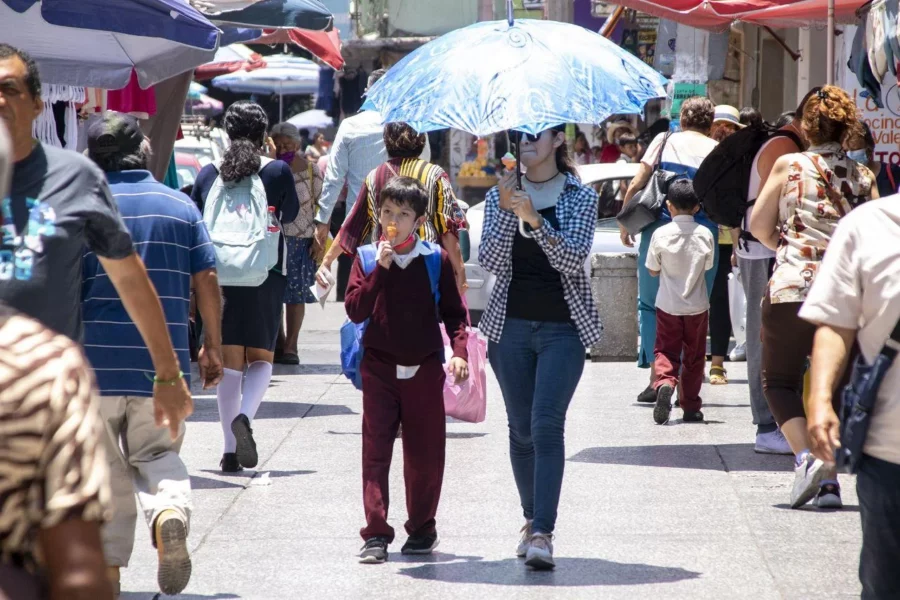 Deforestación y calentamiento global disparan el termómetro en Chilpancingo a niveles críticos