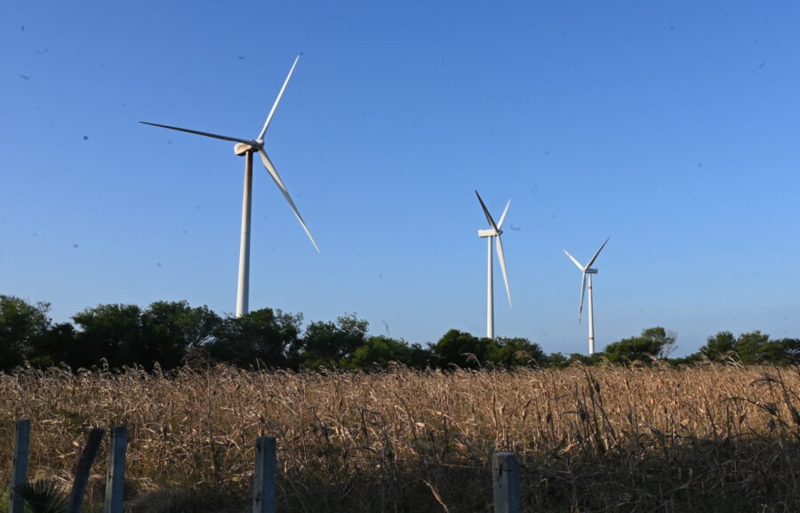 Las defensoras del viento en el Istmo de Tehuantepec